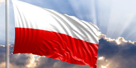 Poland Insolvency Report